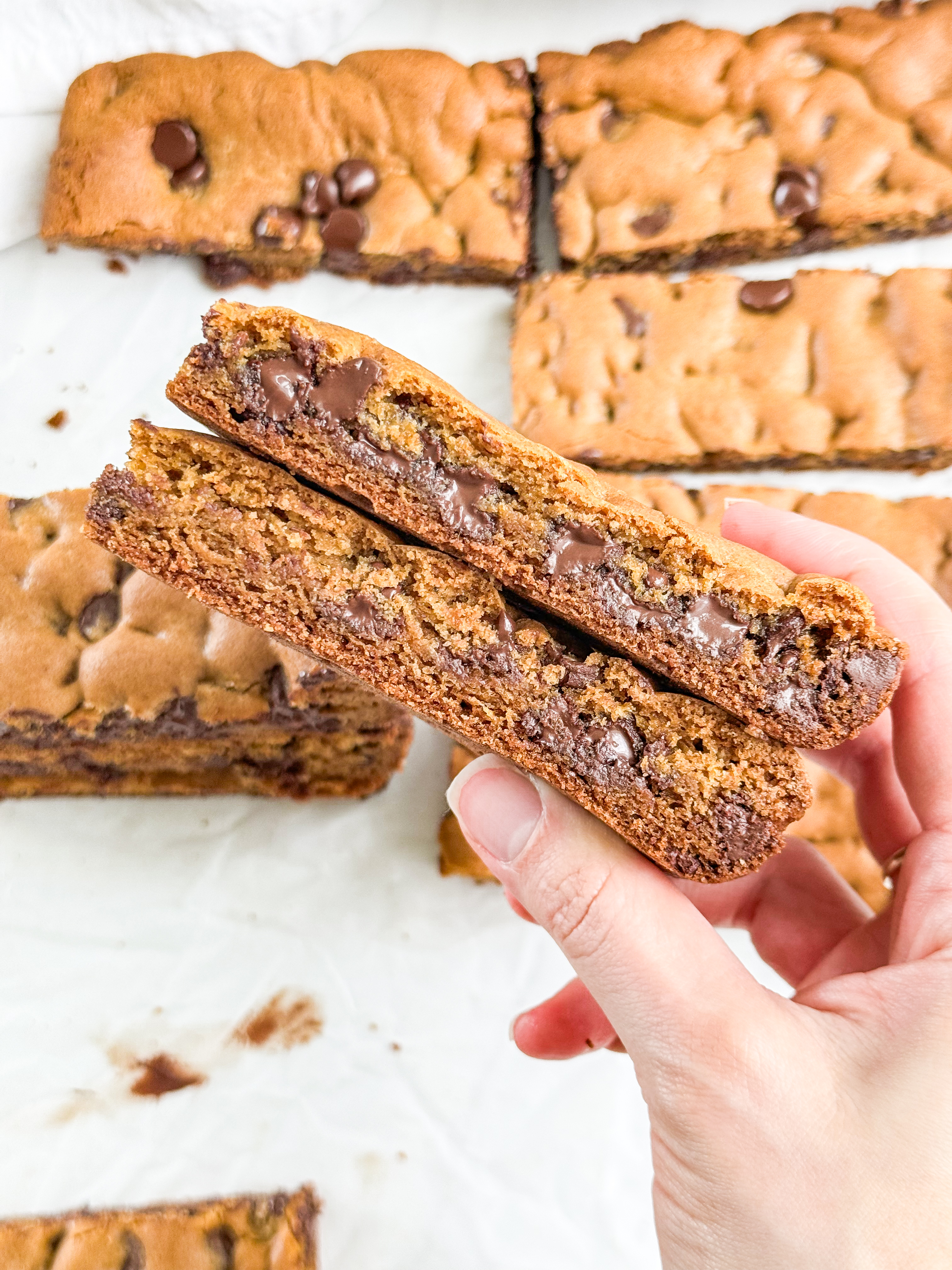 Egg-Yolk-Chocolate-Chip-Cookie-Bars