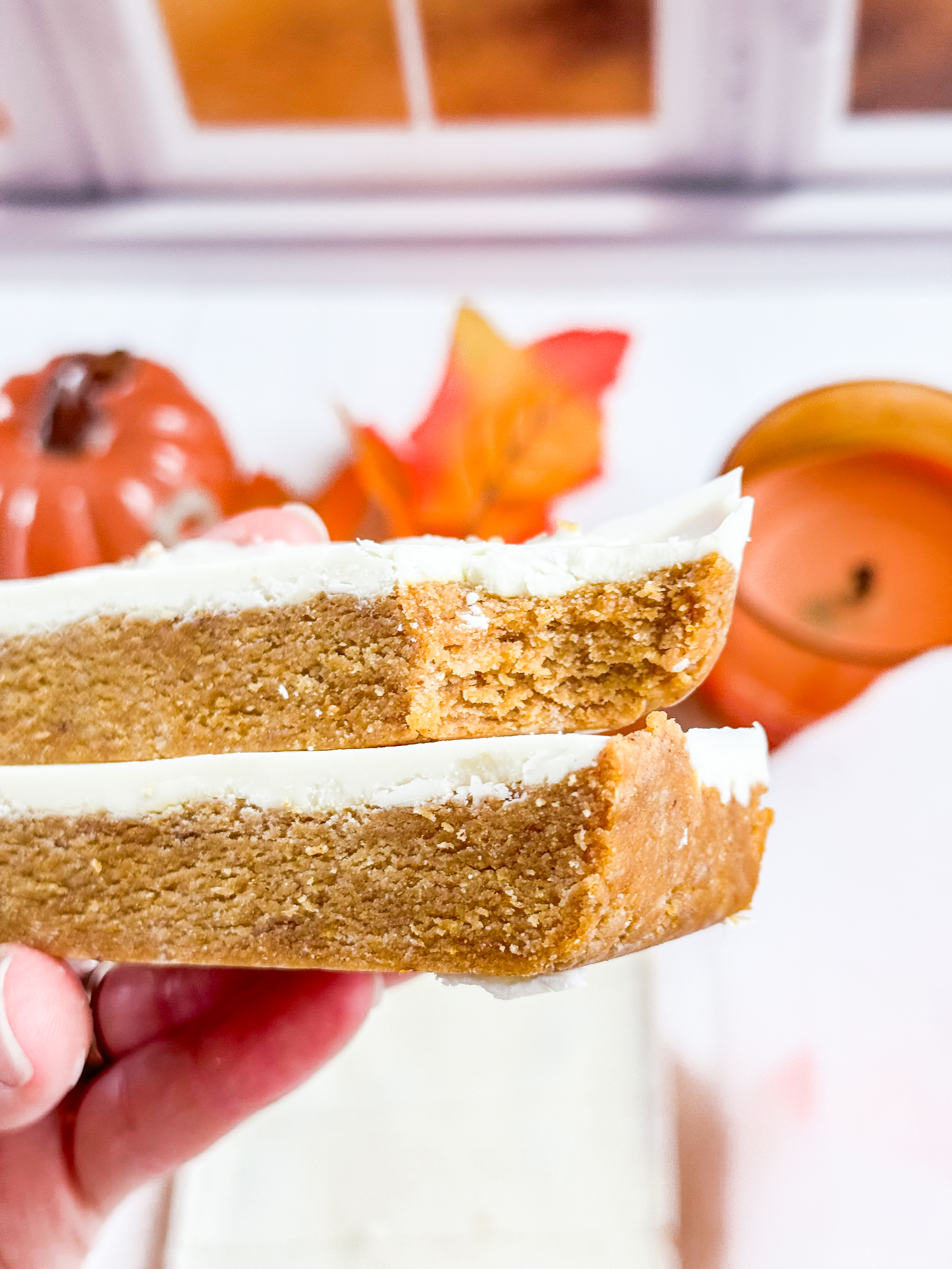 Pumpkin-Protein-Bars